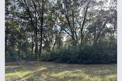 39725 Clay Avenue N, Lady Lake, FL 32159 - Photo 21