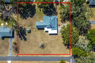 113 Rosemary Ave, Lady Lake, FL 32159 - Photo 55