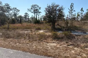 00000 SW Nautilus Blvd, Dunnellon, FL 34431 - Photo 1