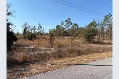 00000 SW Nautilus Boulevard, Dunnellon, FL 34431 - Photo 5