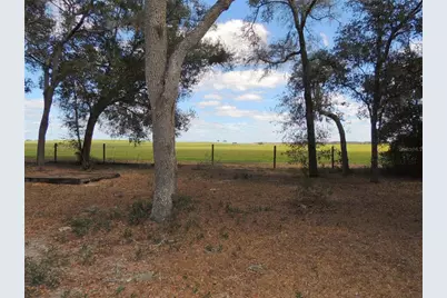 4551 SE 138th Terrace, Morriston, FL 32668 - Photo 17