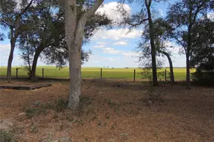 4551 SE 138th Terrace, Morriston, FL 32668 - Photo 17