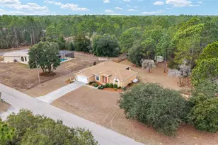 8290 N Ronda Dr, Citrus Springs, FL 34433 - Photo 43