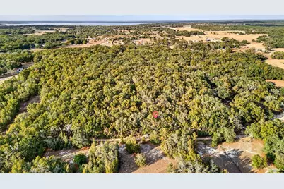 Se 180th Street, Weirsdale, FL 32195 - Photo 5