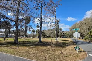 Tbd Cr 426, Lake Panasoffkee, FL 33538 - Photo 1