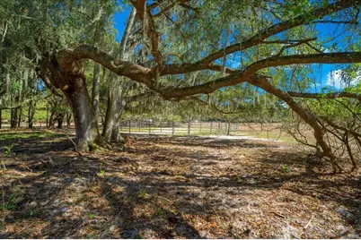 5824 SE 185th Avenue, Micanopy, FL 32667 - Photo 67