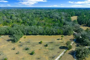 5824 SE 185 Ave, Micanopy, FL 32667 - Photo 73