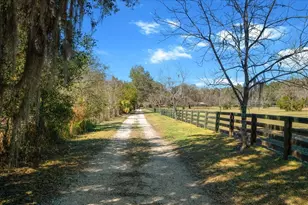 5824 SE 185 Ave, Micanopy, FL 32667 - Photo 75