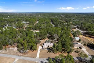 7567 N Fountainhead Dr, Citrus Springs, FL 34433 - Photo 57