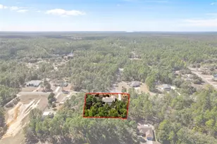 7567 N Fountainhead Dr, Citrus Springs, FL 34433 - Photo 61