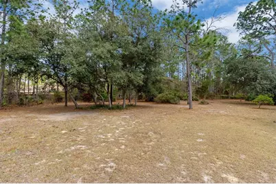 7567 N Fountainhead Drive, Citrus Springs, FL 34433 - Photo 65