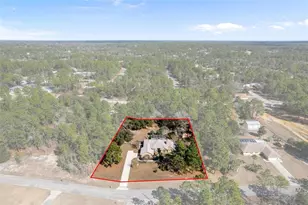 7567 N Fountainhead Dr, Citrus Springs, FL 34433 - Photo 7