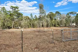 13105 SW 91st Pl, Dunnellon, FL 34432 - Photo 1