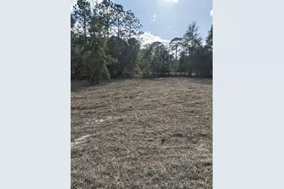 13105 SW 91st Place, Dunnellon, FL 34432 - Photo 3