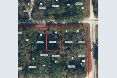 505 Hickory Nut Trail, Satsuma, FL 32189 - Photo 5