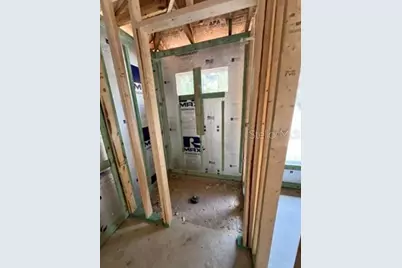 3 Guava Pass Run, Ocklawaha, FL 32179 - Photo 15