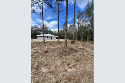 3 Guava Pass Run, Ocklawaha, FL 32179 - Photo 21