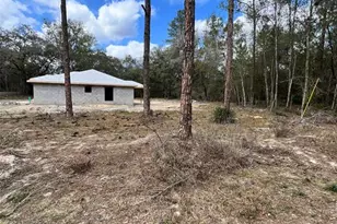 3 Guava Pass Run, Ocklawaha, FL 32179 - Photo 21