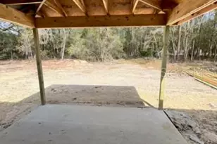 3 Guava Pass Run, Ocklawaha, FL 32179 - Photo 17