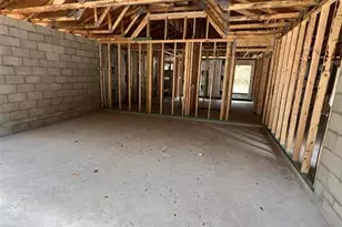 3 Guava Pass Run, Ocklawaha, FL 32179 - Photo 11