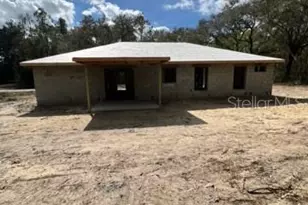 3 Guava Pass Run, Ocklawaha, FL 32179 - Photo 3