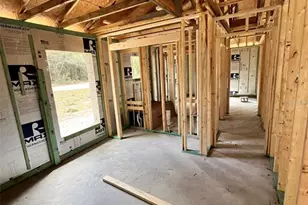 3 Guava Pass Run, Ocklawaha, FL 32179 - Photo 9