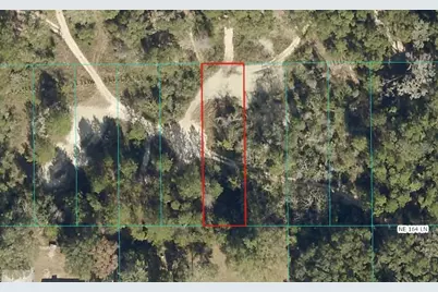 Lot 026 NE 164th Lane, Citra, FL 32113 - Photo 1