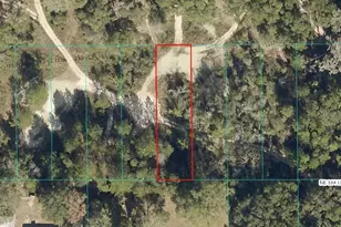 Lot 026 NE 164th Ln, Citra, FL 32113 - Photo 1