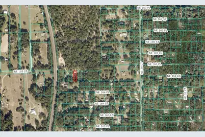 Lot 026 NE 164th Lane, Citra, FL 32113 - Photo 5