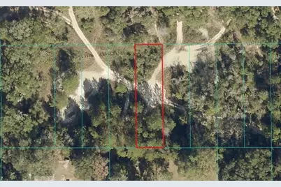 Lot 027 NE 164th Lane, Citra, FL 32113 - Photo 1