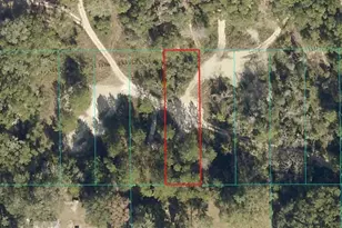 Lot 027 NE 164th Ln, Citra, FL 32113 - Photo 1