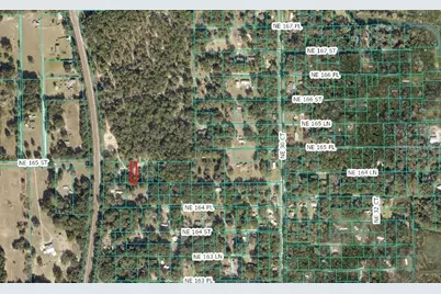 Lot 027 NE 164th Lane, Citra, FL 32113 - Photo 11