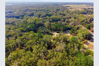Lot 027 NE 164th Lane, Citra, FL 32113 - Photo 21