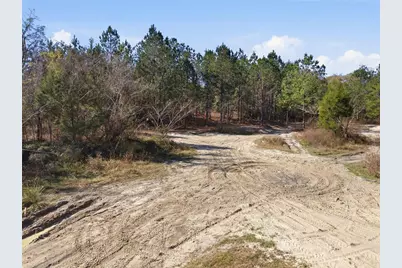 Lot 027 NE 164th Lane, Citra, FL 32113 - Photo 33