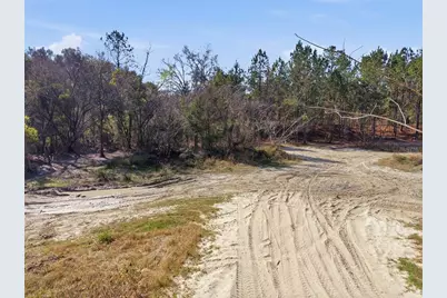 Lot 028 NE 164th Lane, Citra, FL 32113 - Photo 29