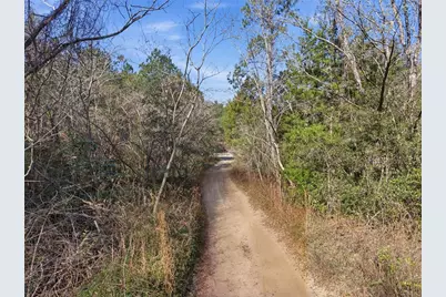 Lot 028 NE 164th Lane, Citra, FL 32113 - Photo 27
