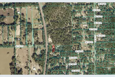 Lot 029 NE 164th Lane, Citra, FL 32113 - Photo 5
