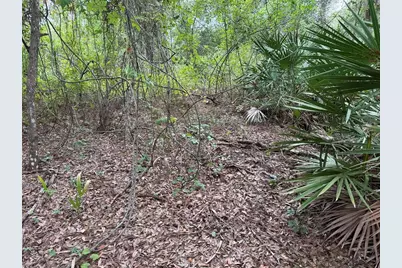 368 Nestle Avenue, Lehigh Acres, FL 33972 - Photo 5