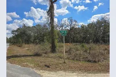 6436 Yam Street, Webster, FL 33597 - Photo 3