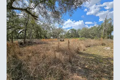 6436 Yam Street, Webster, FL 33597 - Photo 7