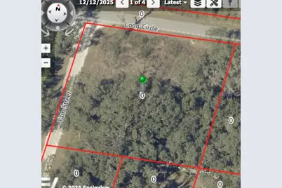 6436 Yam Street, Webster, FL 33597 - Photo 13