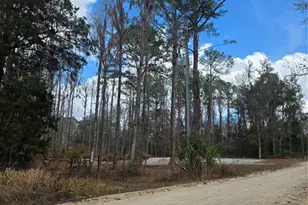 SW 11th Street Rd, Ocala, FL 34481 - Photo 1