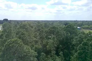 000 NE 189th Ln, Citra, FL 32113 - Photo 1