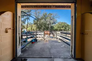 3551 E Hwy 329, Anthony, FL 32617 - Photo 67