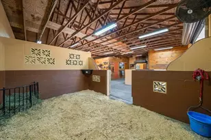 3551 E Hwy 329, Anthony, FL 32617 - Photo 57