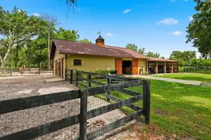 3551 E Hwy 329, Anthony, FL 32617 - Photo 7