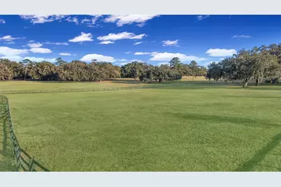 8038 NW 162nd Court, Morriston, FL 32668 - Photo 77