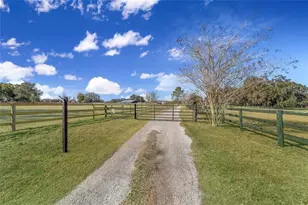 8038 NW 162nd Ct, Morriston, FL 32668 - Photo 81