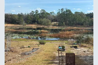 5841 SE 164th Avenue, Ocklawaha, FL 32179 - Photo 7