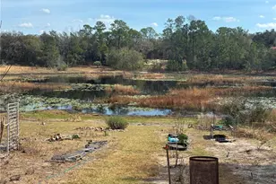 5841 SE 164 Ave, Ocklawaha, FL 32179 - Photo 7